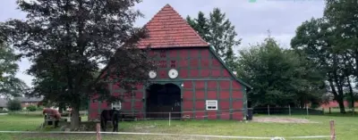 Historischer Niedersachsen- Bauernhof in Fachwerk mit Pferdeboxen u. tollen Eichenbaumbestand, 31603 Diepenau, Bauernhof