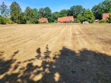 Bauland wartet auf Sie …, 31609 Balge, Grundstück